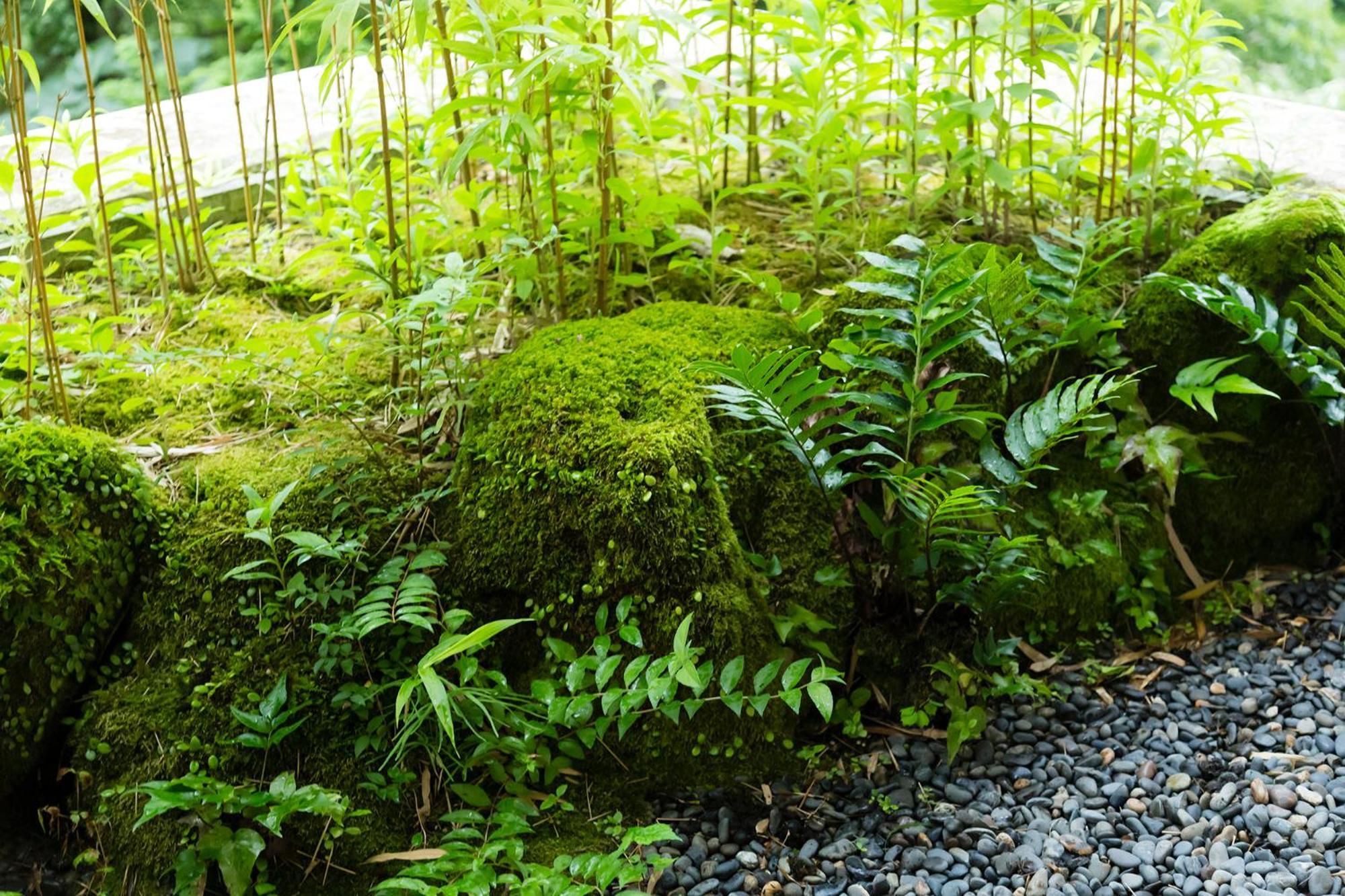 Hakone Yumoto Onsen Hotel Kajikaso Экстерьер фото