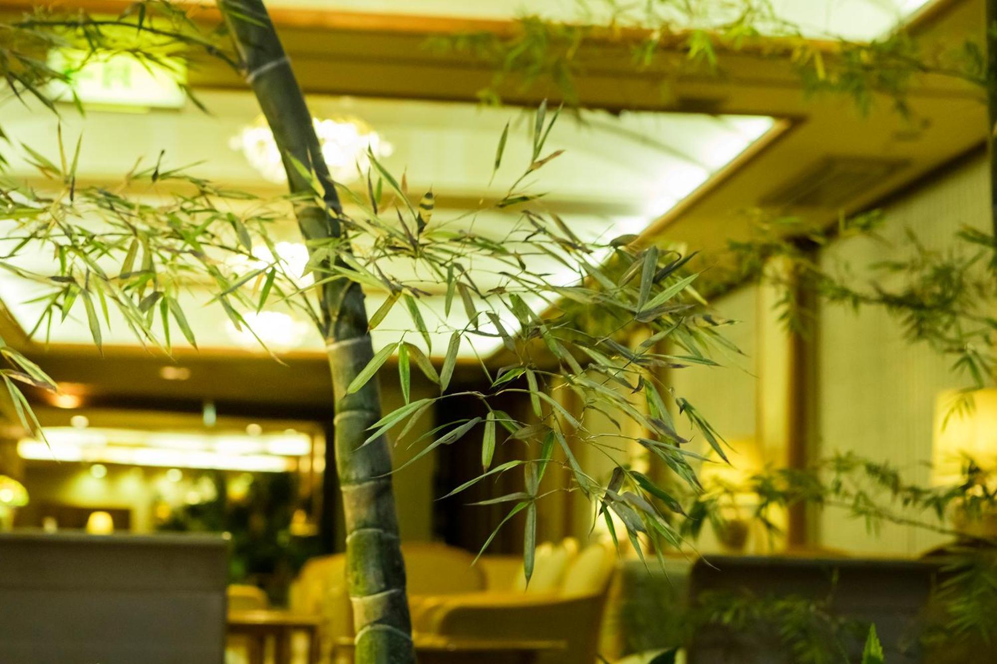 Hakone Yumoto Onsen Hotel Kajikaso Экстерьер фото